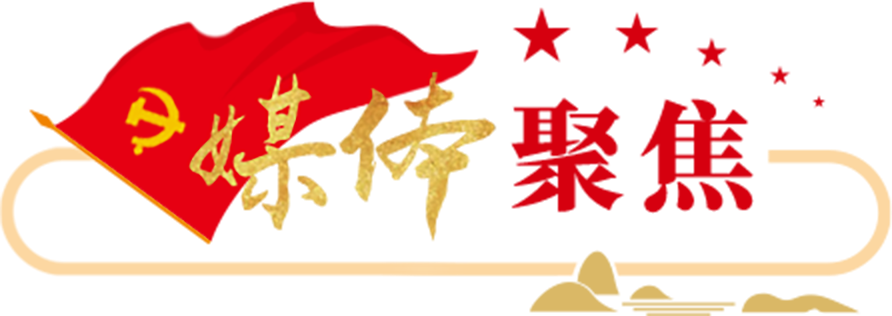 媒体聚焦